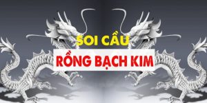 Rồng bạch kim là gì? Mẹo soi cầu miễn phí chuẩn xác nhất