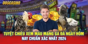 màu mạng gà đá ngày hôm nay